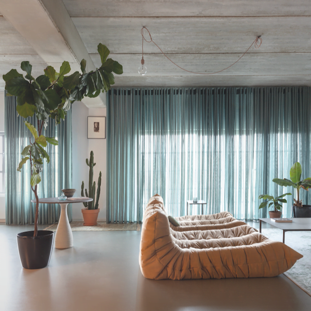 S-Fold Sheers with Zepel Draper fabric hanging in the a lounge room with fiddle leaf tree.