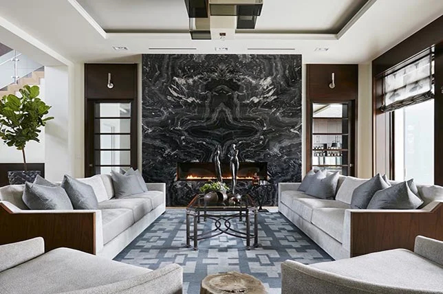 Sleek Contemporary Fire Places image